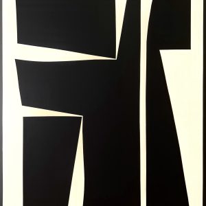 Geoforms 79