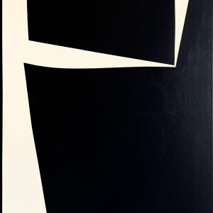 Geoforms 81