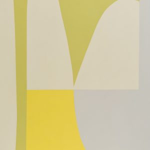 Organic Forms Y87